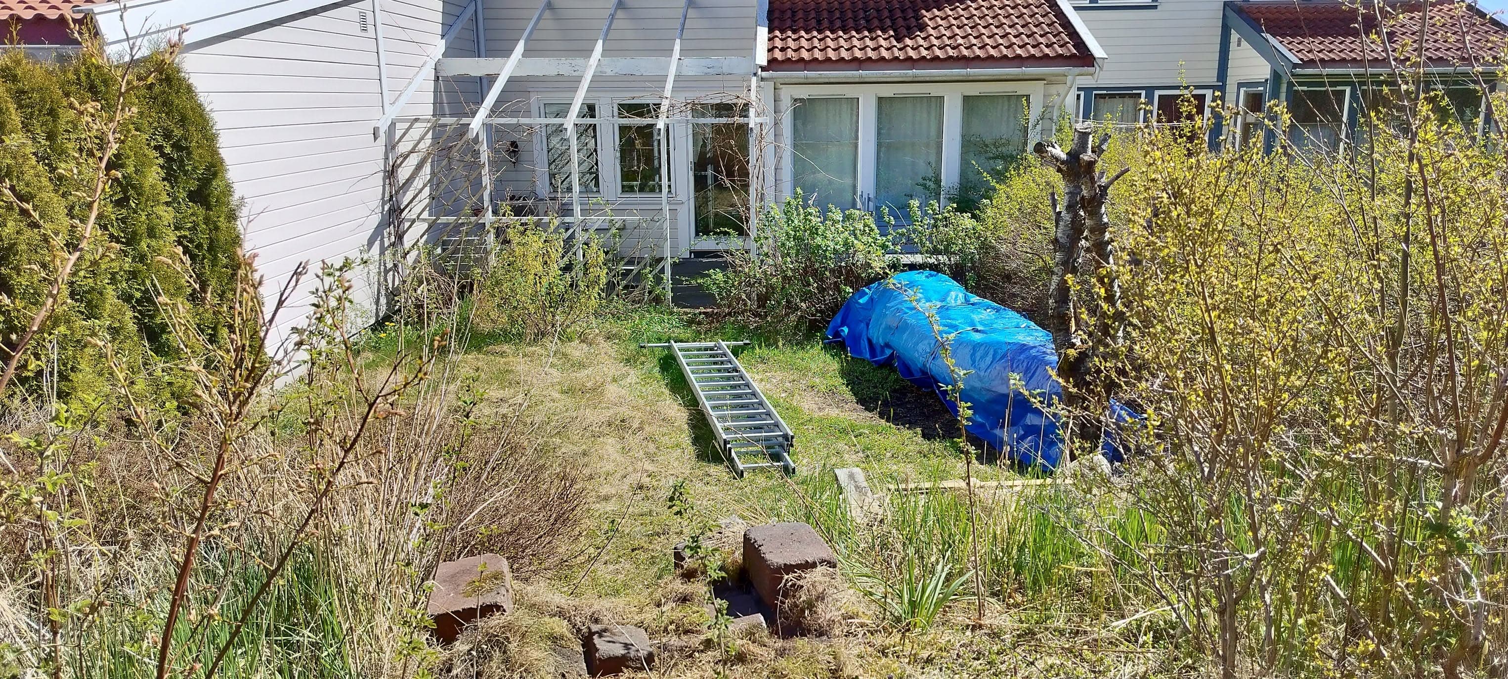 Bakhagen før: høyt gress, kratt og en presenning i bedet